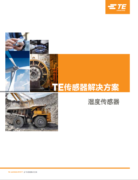 TE濕度傳感器2017 TE濕度傳感器2017