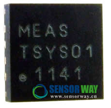 TSYS01.jpg